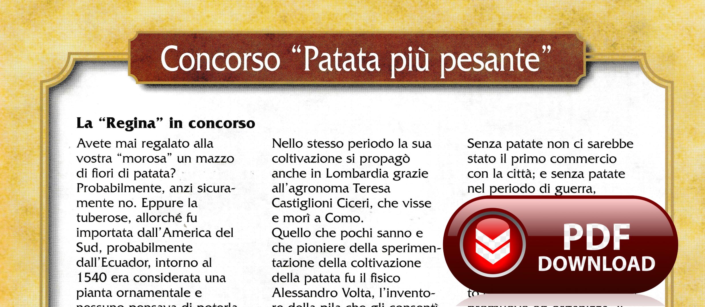 Patata più pesante